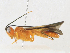  ( - CBG-A16691-A11)  @11 [ ] CreativeCommons - Attribution Share - Alike (2023) CBG Photography Group Centre for Biodiversity Genomics