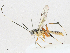  ( - CBG-A16691-D07)  @11 [ ] CreativeCommons - Attribution Share - Alike (2023) CBG Photography Group Centre for Biodiversity Genomics