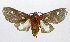  ( - 19-BAES-00011)  @11 [ ] CreativeCommons - Attribution Non-Commercial Share-Alike (2022) Bernardo Espinoza Guanacaste Dry Forest Conservation Fund