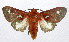  ( - 19-BAES-00012)  @11 [ ] CreativeCommons - Attribution Non-Commercial Share-Alike (2022) Bernardo Espinoza Guanacaste Dry Forest Conservation Fund