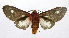  ( - 19-BAES-00012)  @11 [ ] CreativeCommons - Attribution Non-Commercial Share-Alike (2022) Bernardo Espinoza Guanacaste Dry Forest Conservation Fund