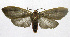  ( - 19-BAES-00029)  @11 [ ] CreativeCommons - Attribution Non-Commercial Share-Alike (2022) Bernardo Espinoza Guanacaste Dry Forest Conservation Fund