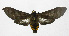  ( - 19-BAES-00054)  @14 [ ] CreativeCommons - Attribution Non-Commercial Share-Alike (2022) Bernardo Espinoza Guanacaste Dry Forest Conservation Fund