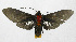  ( - 19-BAES-00064)  @11 [ ] CreativeCommons - Attribution Non-Commercial Share-Alike (2022) Bernardo Espinoza Guanacaste Dry Forest Conservation Fund