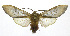  ( - 19-BAES-00131)  @11 [ ] CreativeCommons - Attribution Non-Commercial Share-Alike (2022) Bernardo Espinoza Guanacaste Dry Forest Conservation Fund