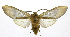  ( - 19-BAES-00131)  @11 [ ] CreativeCommons - Attribution Non-Commercial Share-Alike (2022) Bernardo Espinoza Guanacaste Dry Forest Conservation Fund