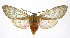  ( - 19-BAES-00198)  @11 [ ] CreativeCommons - Attribution Non-Commercial Share-Alike (2022) Bernardo Espinoza Guanacaste Dry Forest Conservation Fund