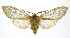  ( - 19-BAES-00198)  @11 [ ] CreativeCommons - Attribution Non-Commercial Share-Alike (2022) Bernardo Espinoza Guanacaste Dry Forest Conservation Fund