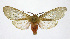  ( - 19-BAES-00199)  @11 [ ] CreativeCommons - Attribution Non-Commercial Share-Alike (2022) Bernardo Espinoza Guanacaste Dry Forest Conservation Fund