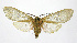  ( - 19-BAES-00199)  @11 [ ] CreativeCommons - Attribution Non-Commercial Share-Alike (2022) Bernardo Espinoza Guanacaste Dry Forest Conservation Fund