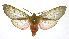  ( - 19-BAES-00202)  @11 [ ] CreativeCommons - Attribution Non-Commercial Share-Alike (2022) Bernardo Espinoza Guanacaste Dry Forest Conservation Fund