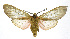  ( - 19-BAES-00202)  @11 [ ] CreativeCommons - Attribution Non-Commercial Share-Alike (2022) Bernardo Espinoza Guanacaste Dry Forest Conservation Fund