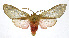  ( - 19-BAES-00203)  @11 [ ] CreativeCommons - Attribution Non-Commercial Share-Alike (2022) Bernardo Espinoza Guanacaste Dry Forest Conservation Fund