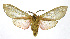 ( - 19-BAES-00203)  @11 [ ] CreativeCommons - Attribution Non-Commercial Share-Alike (2022) Bernardo Espinoza Guanacaste Dry Forest Conservation Fund
