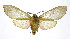  ( - 19-BAES-00204)  @11 [ ] CreativeCommons - Attribution Non-Commercial Share-Alike (2022) Bernardo Espinoza Guanacaste Dry Forest Conservation Fund