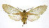  ( - 19-BAES-00209)  @11 [ ] CreativeCommons - Attribution Non-Commercial Share-Alike (2022) Bernardo Espinoza Guanacaste Dry Forest Conservation Fund