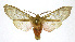  ( - 19-BAES-00211)  @11 [ ] CreativeCommons - Attribution Non-Commercial Share-Alike (2022) Bernardo Espinoza Guanacaste Dry Forest Conservation Fund