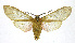  ( - 19-BAES-00211)  @11 [ ] CreativeCommons - Attribution Non-Commercial Share-Alike (2022) Bernardo Espinoza Guanacaste Dry Forest Conservation Fund