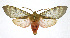  ( - 19-BAES-00212)  @11 [ ] CreativeCommons - Attribution Non-Commercial Share-Alike (2022) Bernardo Espinoza Guanacaste Dry Forest Conservation Fund