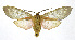  ( - 19-BAES-00212)  @11 [ ] CreativeCommons - Attribution Non-Commercial Share-Alike (2022) Bernardo Espinoza Guanacaste Dry Forest Conservation Fund