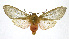  ( - 19-BAES-00213)  @11 [ ] CreativeCommons - Attribution Non-Commercial Share-Alike (2022) Bernardo Espinoza Guanacaste Dry Forest Conservation Fund