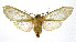  ( - 19-BAES-00213)  @11 [ ] CreativeCommons - Attribution Non-Commercial Share-Alike (2022) Bernardo Espinoza Guanacaste Dry Forest Conservation Fund