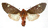  ( - 19-BAES-00225)  @13 [ ] CreativeCommons - Attribution Non-Commercial Share-Alike (2022) Bernardo Espinoza Guanacaste Dry Forest Conservation Fund