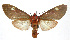  ( - 19-BAES-00225)  @13 [ ] CreativeCommons - Attribution Non-Commercial Share-Alike (2022) Bernardo Espinoza Guanacaste Dry Forest Conservation Fund