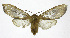  ( - 19-BAES-00264)  @11 [ ] CreativeCommons - Attribution Non-Commercial Share-Alike (2022) Bernardo Espinoza Guanacaste Dry Forest Conservation Fund