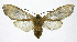  ( - 19-BAES-00264)  @11 [ ] CreativeCommons - Attribution Non-Commercial Share-Alike (2022) Bernardo Espinoza Guanacaste Dry Forest Conservation Fund