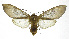  ( - 19-BAES-00265)  @11 [ ] CreativeCommons - Attribution Non-Commercial Share-Alike (2022) Bernardo Espinoza Guanacaste Dry Forest Conservation Fund