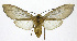  ( - 19-BAES-00265)  @11 [ ] CreativeCommons - Attribution Non-Commercial Share-Alike (2022) Bernardo Espinoza Guanacaste Dry Forest Conservation Fund