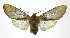  ( - 19-BAES-00272)  @11 [ ] CreativeCommons - Attribution Non-Commercial Share-Alike (2022) Bernardo Espinoza Guanacaste Dry Forest Conservation Fund