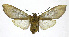  ( - 19-BAES-00272)  @11 [ ] CreativeCommons - Attribution Non-Commercial Share-Alike (2022) Bernardo Espinoza Guanacaste Dry Forest Conservation Fund