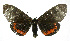  ( - 19-BAES-00294)  @11 [ ] CreativeCommons - Attribution Non-Commercial Share-Alike (2022) Bernardo Espinoza Guanacaste Dry Forest Conservation Fund