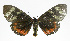  ( - 19-BAES-00294)  @11 [ ] CreativeCommons - Attribution Non-Commercial Share-Alike (2022) Bernardo Espinoza Guanacaste Dry Forest Conservation Fund
