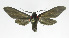  ( - 19-BAES-00348)  @11 [ ] CreativeCommons - Attribution Non-Commercial Share-Alike (2022) Bernardo Espinoza Guanacaste Dry Forest Conservation Fund