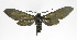  ( - 19-BAES-00348)  @11 [ ] CreativeCommons - Attribution Non-Commercial Share-Alike (2022) Bernardo Espinoza Guanacaste Dry Forest Conservation Fund