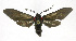  ( - 19-BAES-00367)  @11 [ ] CreativeCommons - Attribution Non-Commercial Share-Alike (2022) Bernardo Espinoza Guanacaste Dry Forest Conservation Fund