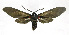  ( - 19-BAES-00367)  @11 [ ] CreativeCommons - Attribution Non-Commercial Share-Alike (2022) Bernardo Espinoza Guanacaste Dry Forest Conservation Fund