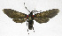  ( - 19-BAES-00368)  @11 [ ] CreativeCommons - Attribution Non-Commercial Share-Alike (2022) Bernardo Espinoza Guanacaste Dry Forest Conservation Fund