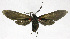  ( - 19-BAES-00368)  @11 [ ] CreativeCommons - Attribution Non-Commercial Share-Alike (2022) Bernardo Espinoza Guanacaste Dry Forest Conservation Fund