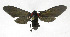  ( - 19-BAES-00369)  @11 [ ] CreativeCommons - Attribution Non-Commercial Share-Alike (2022) Bernardo Espinoza Guanacaste Dry Forest Conservation Fund