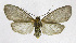  ( - 19-BAES-00898)  @11 [ ] CreativeCommons - Attribution Non-Commercial Share-Alike (2022) Bernardo Espinoza Guanacaste Dry Forest Conservation Fund