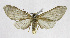  ( - 19-BAES-00904)  @11 [ ] CreativeCommons - Attribution Non-Commercial Share-Alike (2022) Bernardo Espinoza Guanacaste Dry Forest Conservation Fund