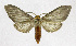  ( - 19-BAES-00905)  @11 [ ] CreativeCommons - Attribution Non-Commercial Share-Alike (2022) Bernardo Espinoza Guanacaste Dry Forest Conservation Fund