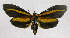  ( - 19-BAES-00926)  @11 [ ] CreativeCommons - Attribution Non-Commercial Share-Alike (2022) Bernardo Espinoza Guanacaste Dry Forest Conservation Fund