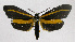  ( - 19-BAES-00927)  @11 [ ] CreativeCommons - Attribution Non-Commercial Share-Alike (2022) Bernardo Espinoza Guanacaste Dry Forest Conservation Fund