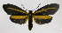  ( - 19-BAES-00928)  @11 [ ] CreativeCommons - Attribution Non-Commercial Share-Alike (2022) Bernardo Espinoza Guanacaste Dry Forest Conservation Fund