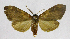  ( - 19-BAES-00948)  @11 [ ] CreativeCommons - Attribution Non-Commercial Share-Alike (2022) Bernardo Espinoza Guanacaste Dry Forest Conservation Fund